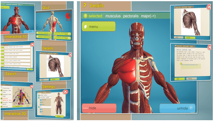 Easy Anatomy 3D