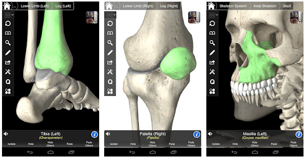 Anatomy Apps