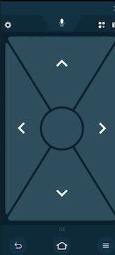 fire tv app interface