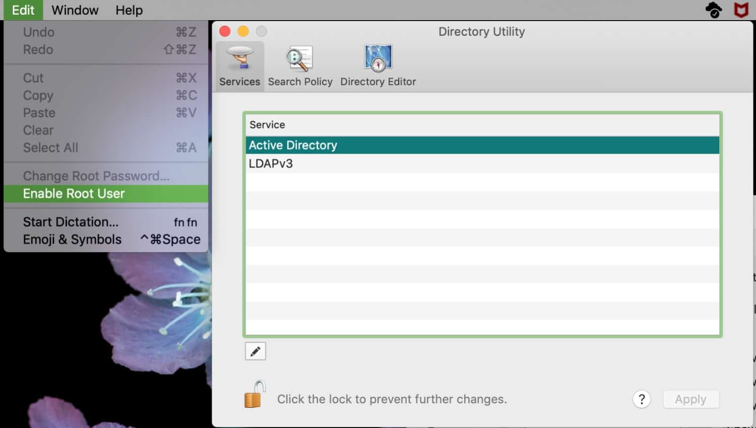 enable root user